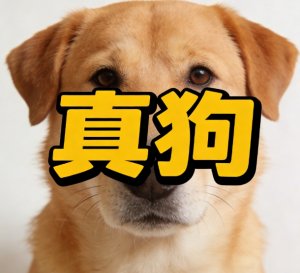 说一个人“真狗”什么意思？