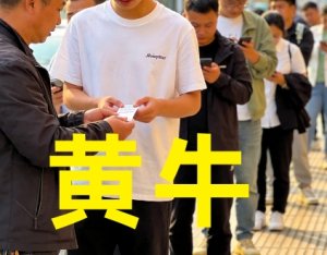 黄牛，那些倒买倒卖的人